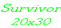 Survivor 20x30