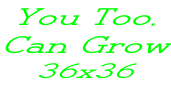 You Too,  Can Grow 36x36