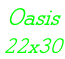 Oasis 22x30