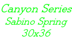 Canyon Series Sabino Spring 30x36